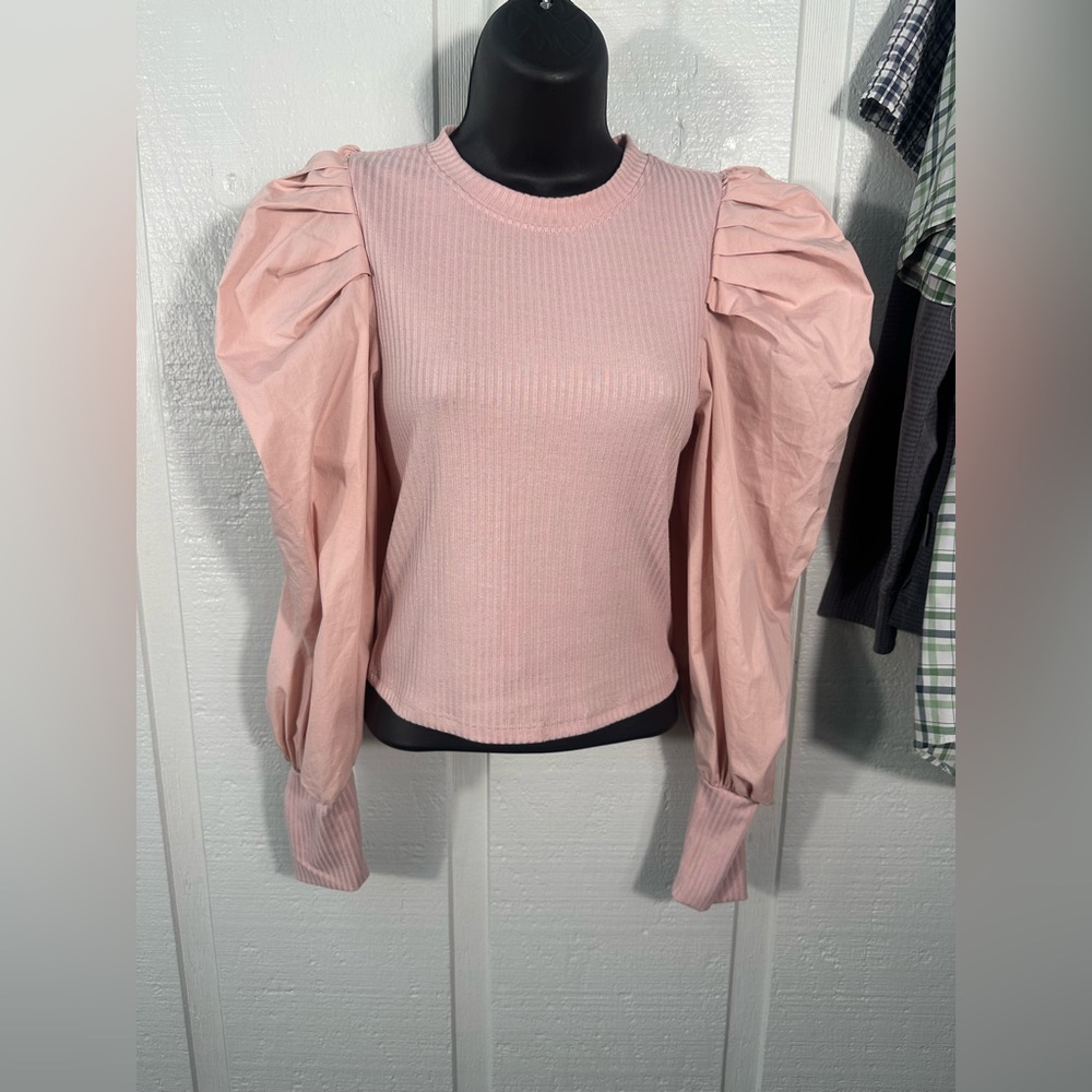 TCEC Solid Fitted Crew Neckline and Long Puff Sleeves Size Medium EUC - Picture 2 of 9